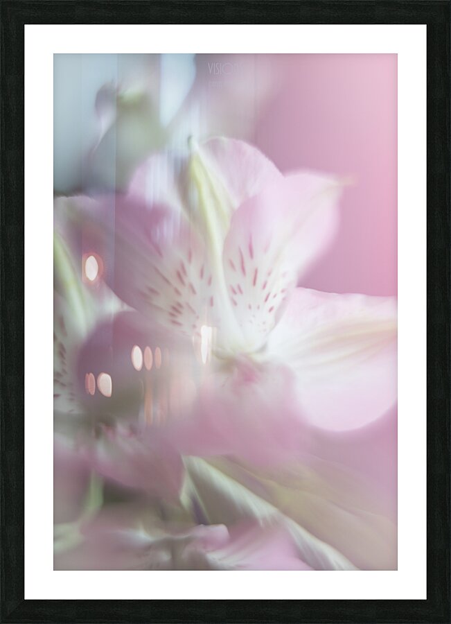 085A4752 Picture Frame print