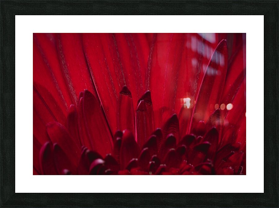 085A6372 Picture Frame print
