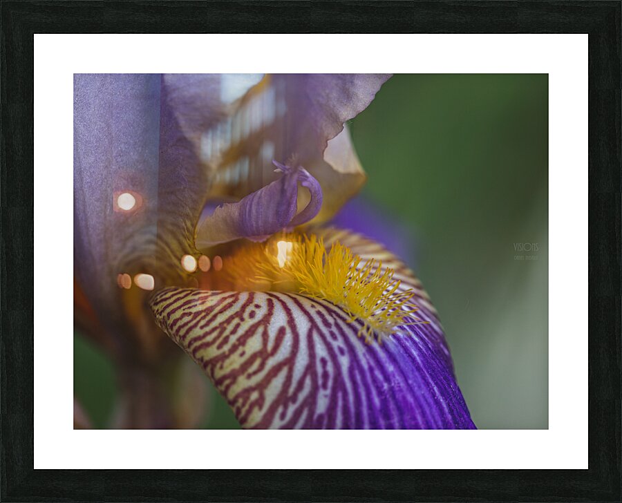 085A0595 Picture Frame print