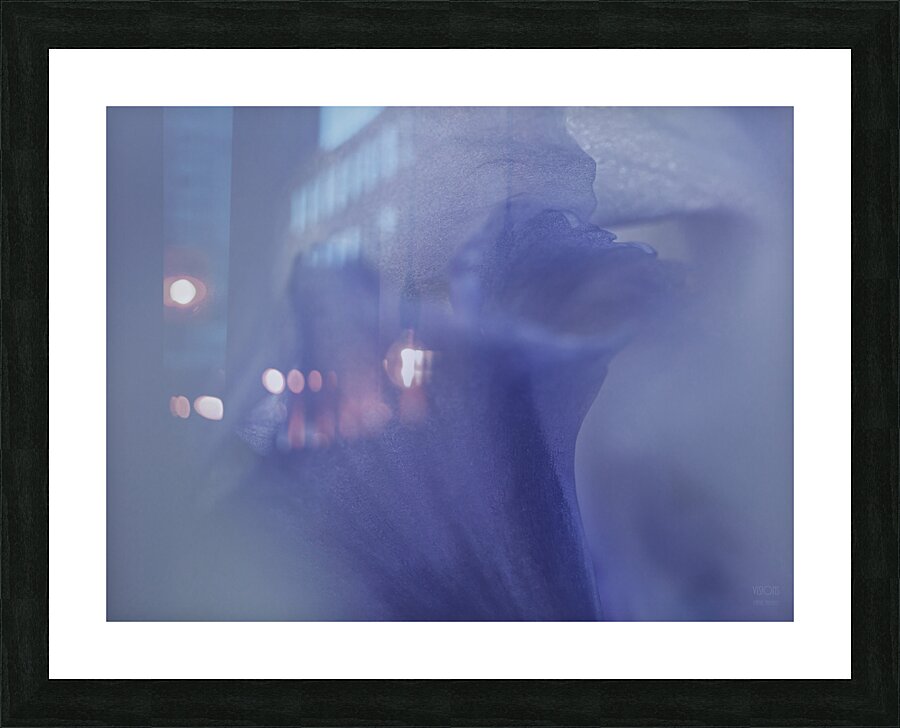 085A0578 Picture Frame print