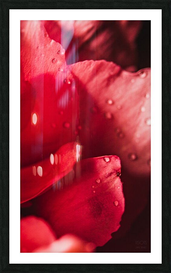 085A6781 Picture Frame print