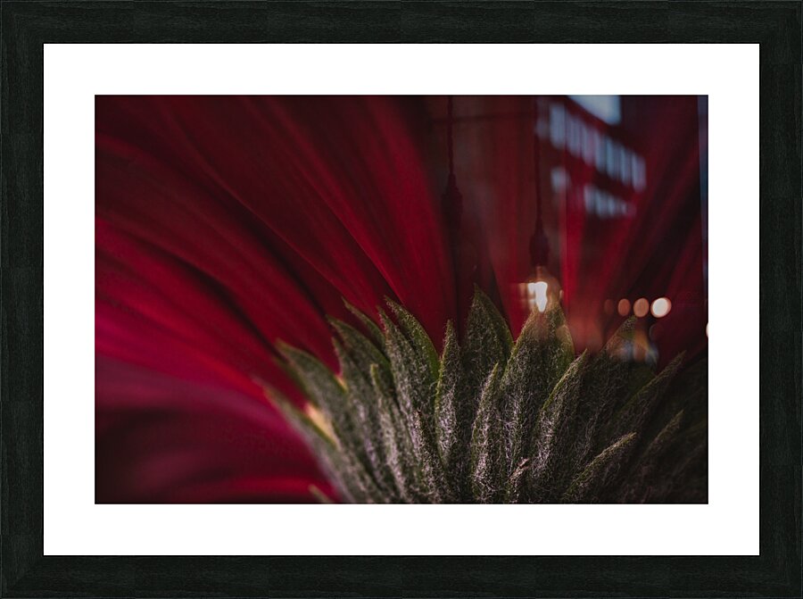 085A6451 Picture Frame print
