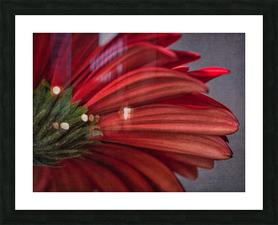 085A6446 Picture Frame print
