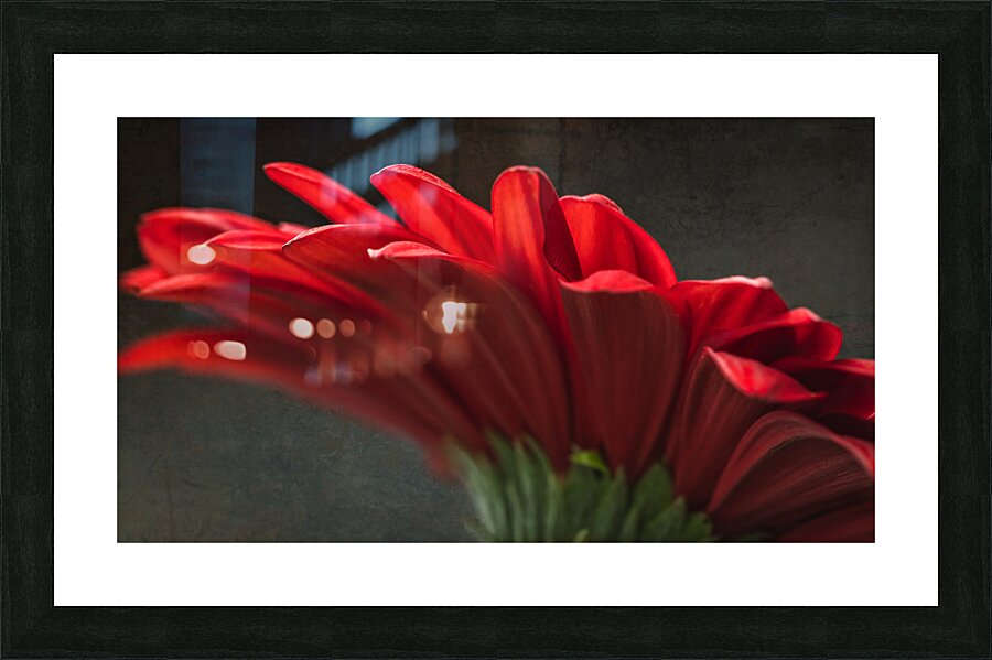 085A6457 Picture Frame print