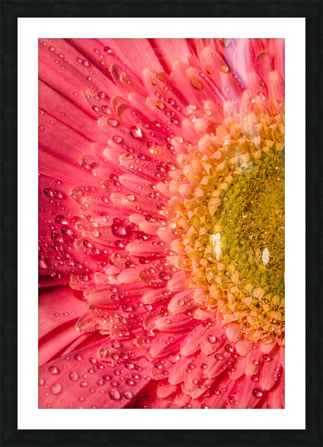 085A6787 Picture Frame print