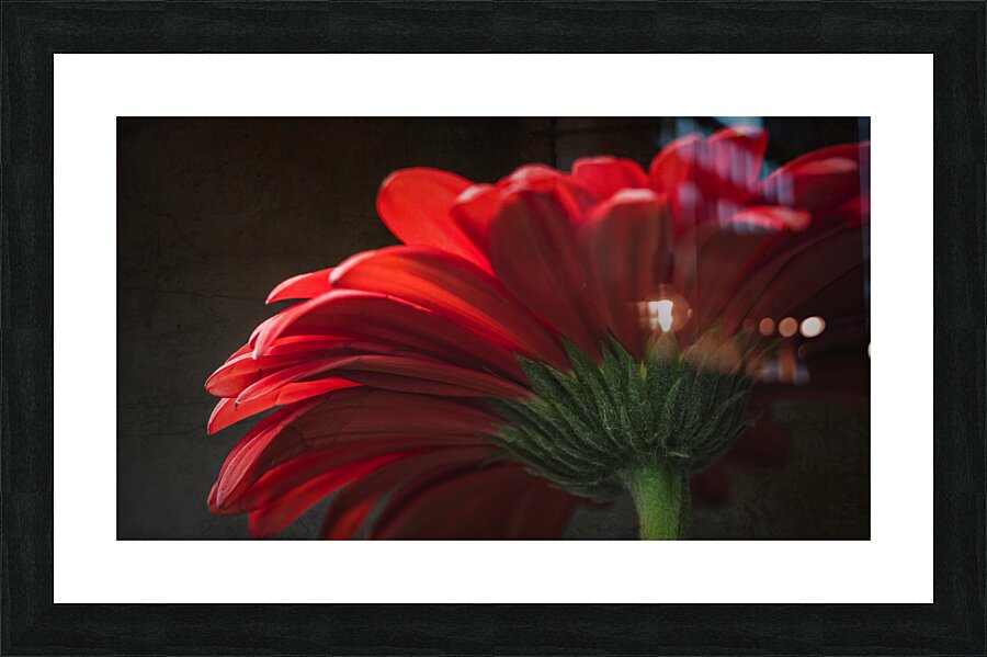 085A6468 Picture Frame print