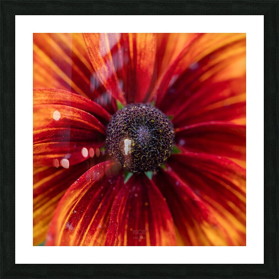 044A9560 Picture Frame print