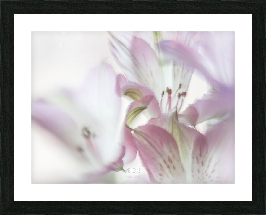 085A4735 Picture Frame print