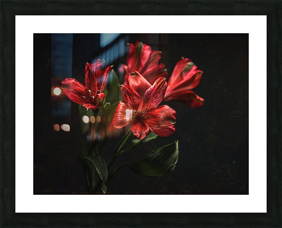085A7087 Picture Frame print
