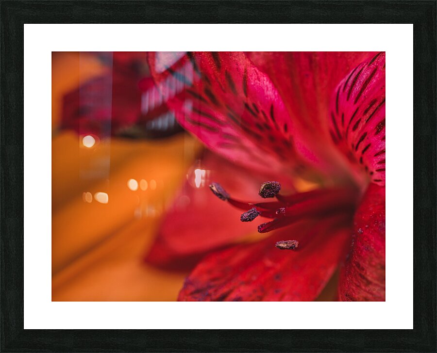085A7061 Picture Frame print