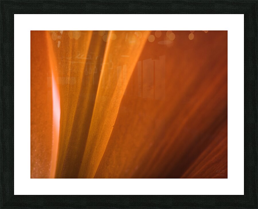 085A7011 Picture Frame print