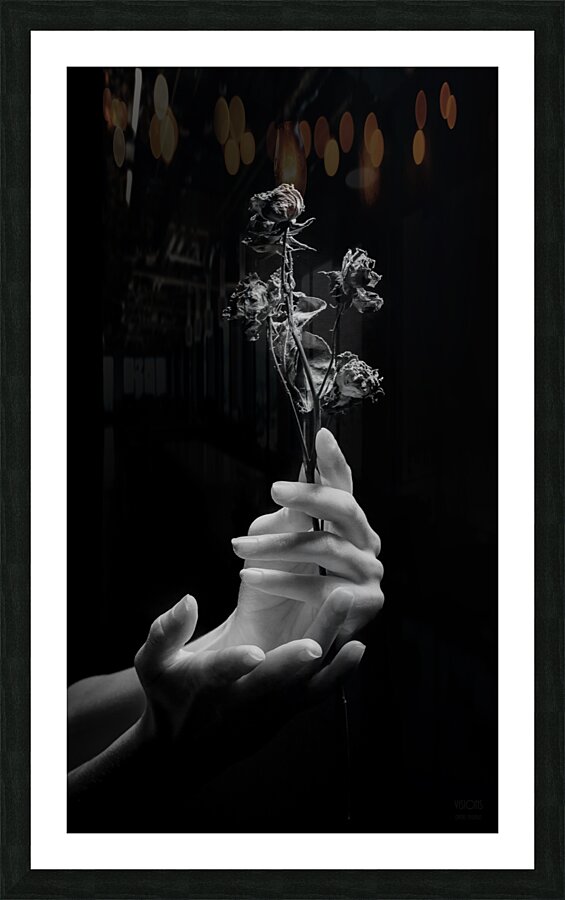 085A7344 Picture Frame print