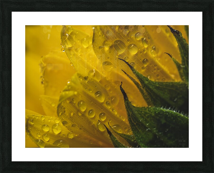 085A6874 Picture Frame print
