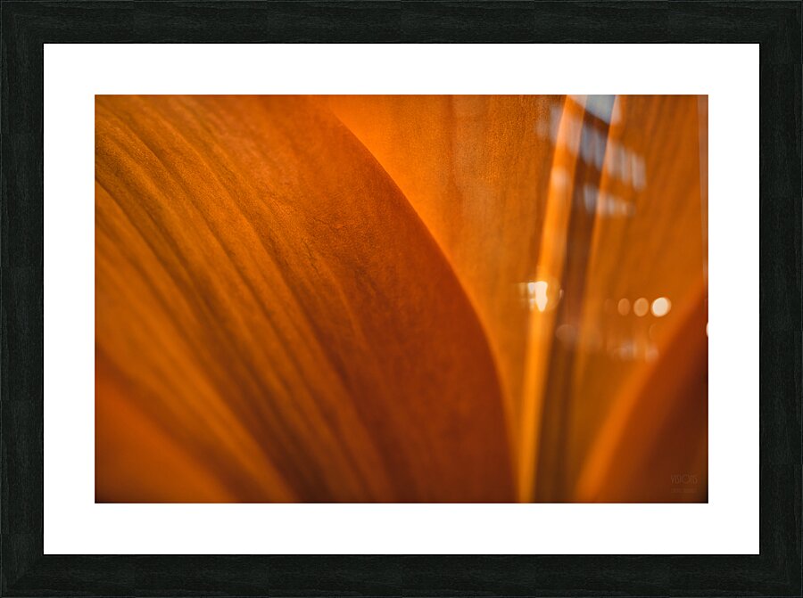 085A6995 Picture Frame print