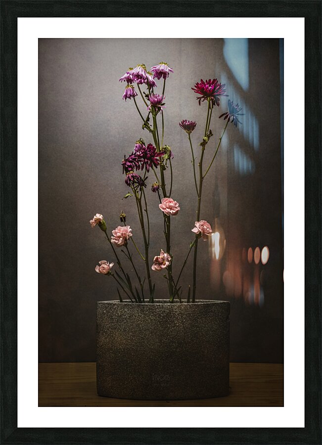 085A8408 Picture Frame print