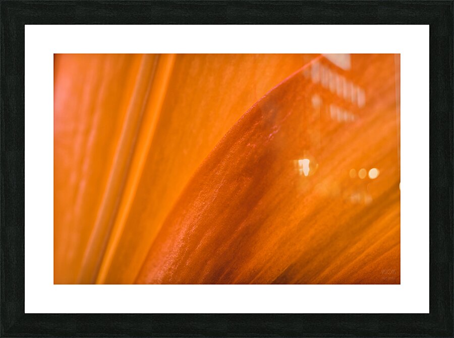 085A7019 Picture Frame print