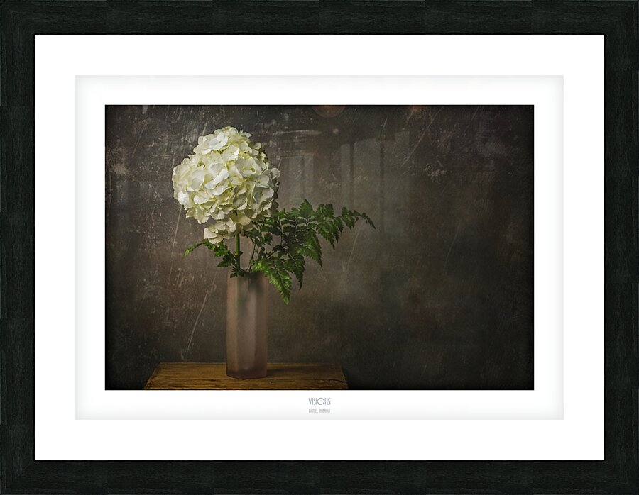  44A2713 Picture Frame print