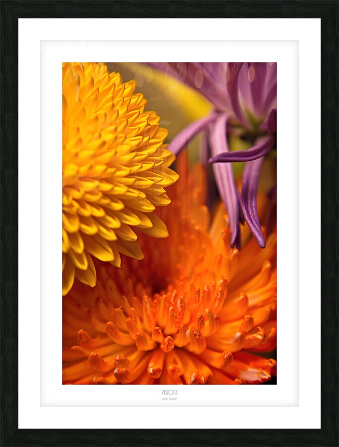  Q8A0499 Picture Frame print