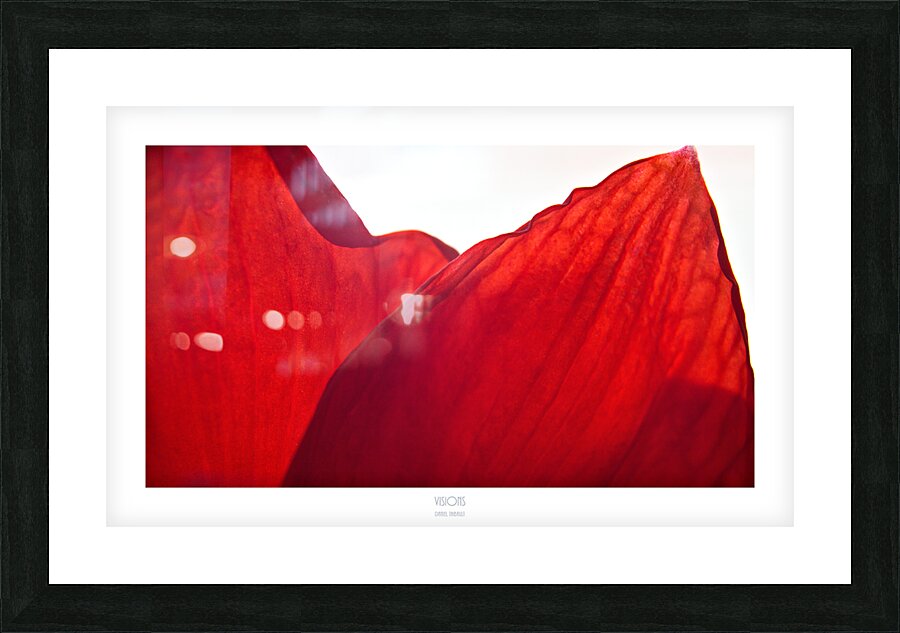  Q8A0432 Picture Frame print
