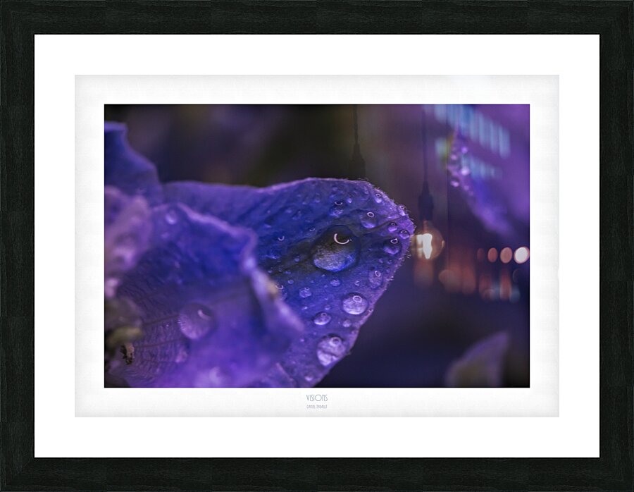  44A2520 Picture Frame print