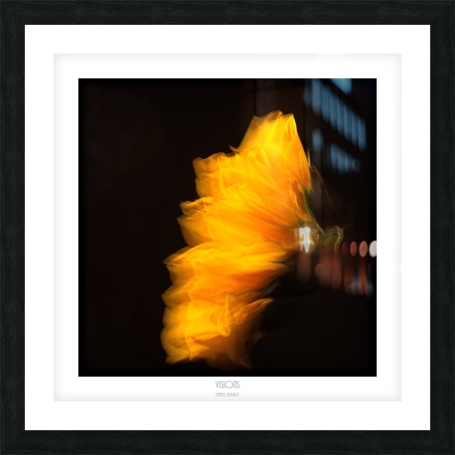 1Q8A1151 Picture Frame print