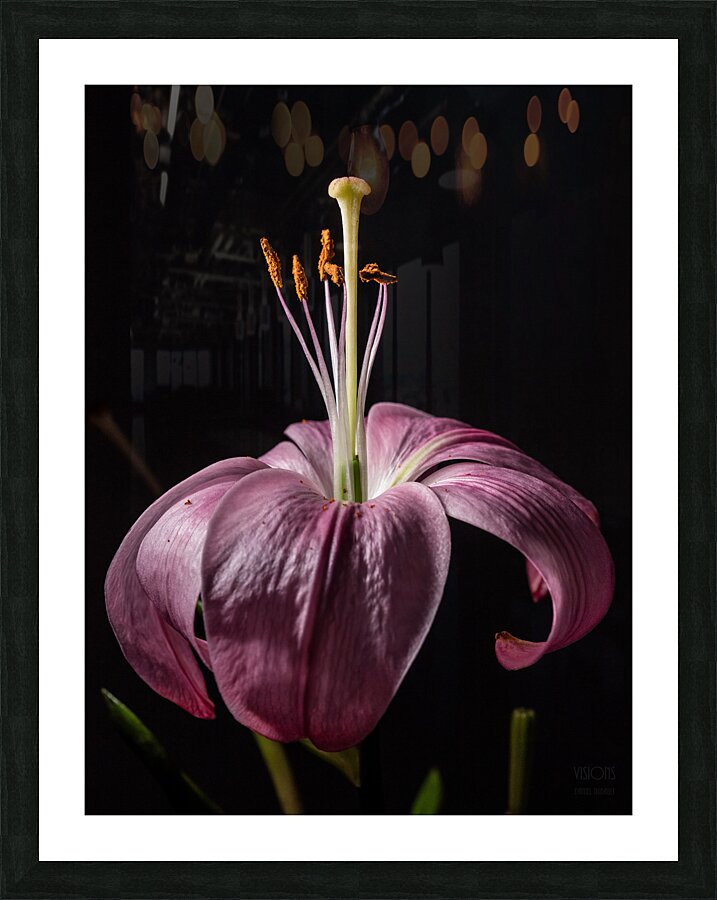 044A2942 Picture Frame print