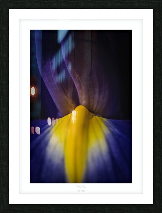 044A3858 Picture Frame print