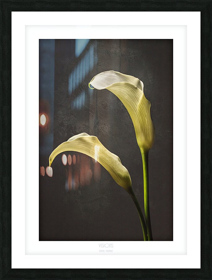 044A3944 Picture Frame print