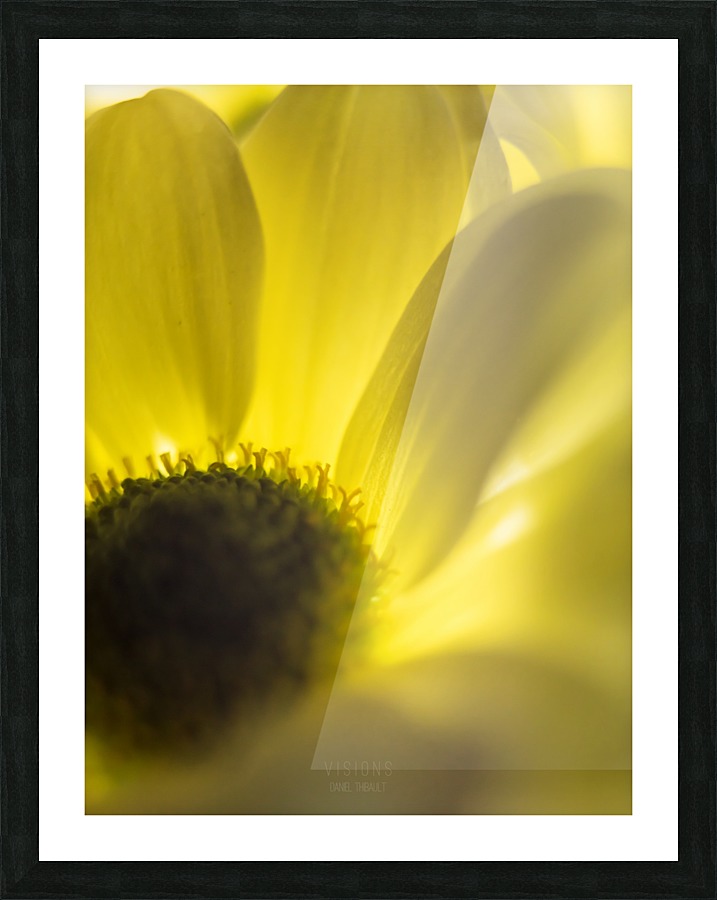 Jaune 4 Picture Frame print