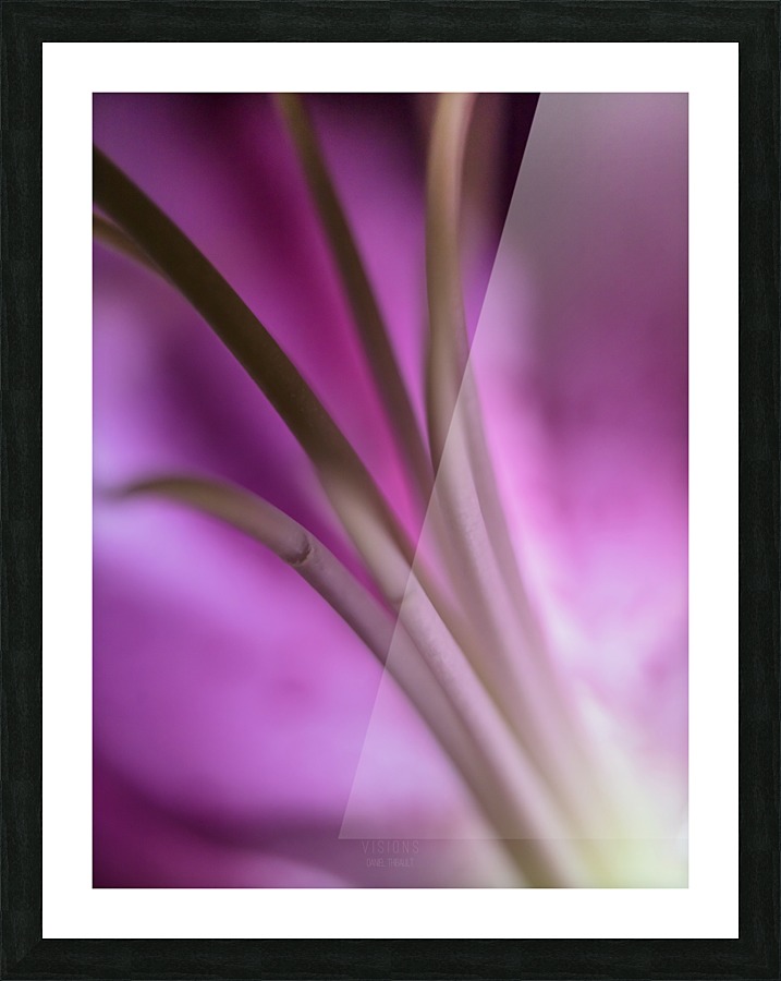 Pinky 5 Picture Frame print