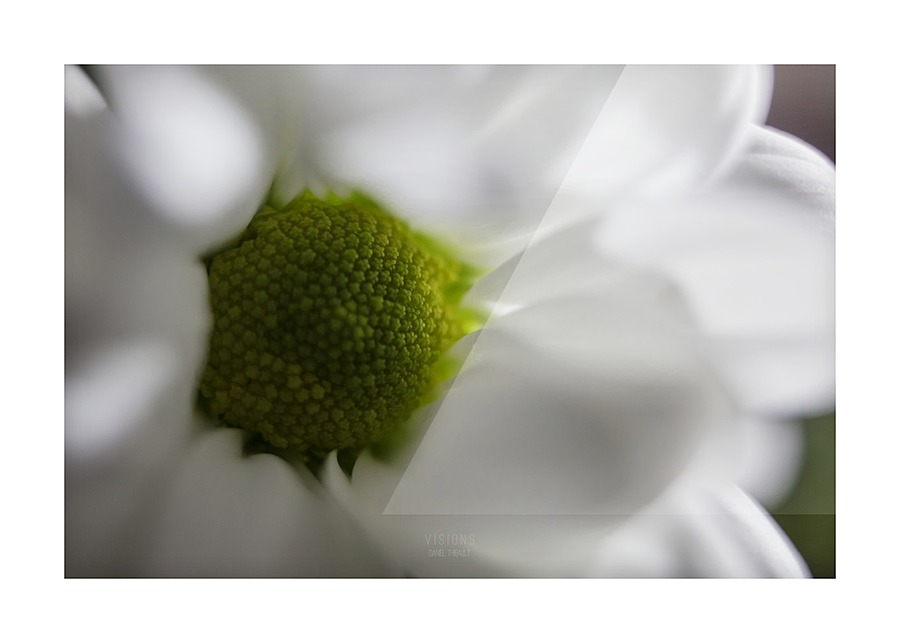 Purete Picture Frame print