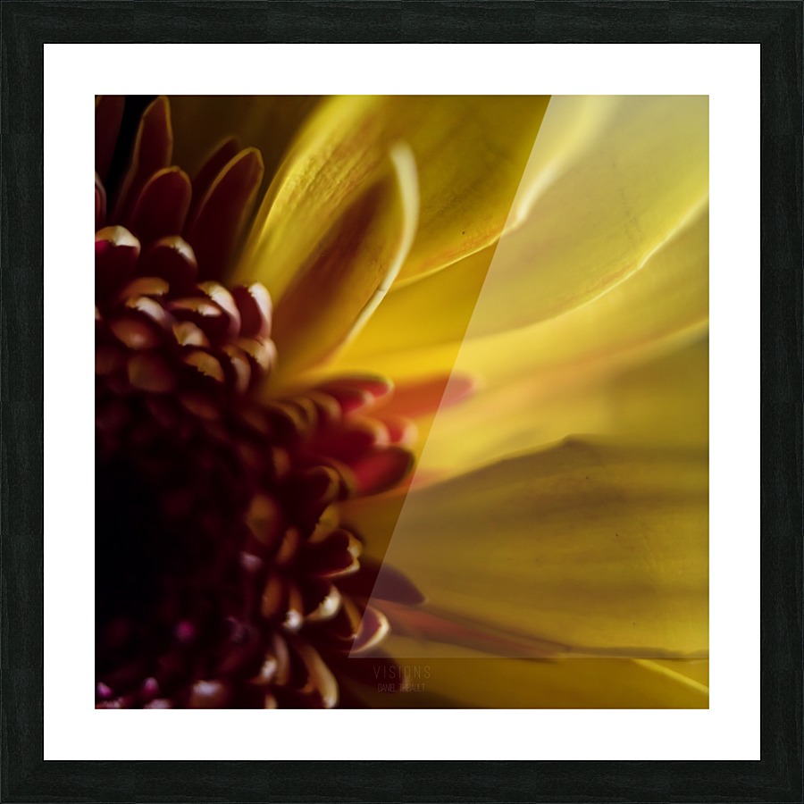 Jaune 2 Picture Frame print