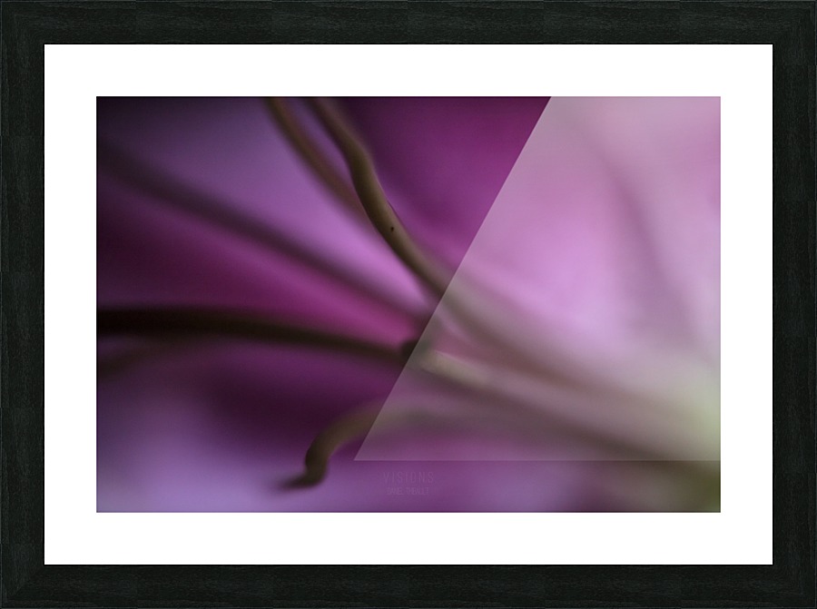 Pinky 1 Picture Frame print