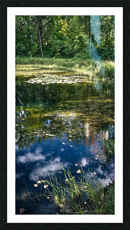Monet style 2 Picture Frame print