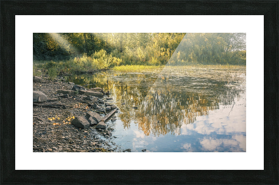 Monet style 4 Picture Frame print