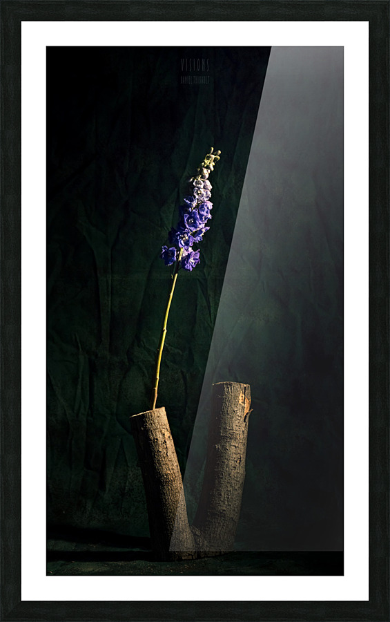 Simplicitude Picture Frame print
