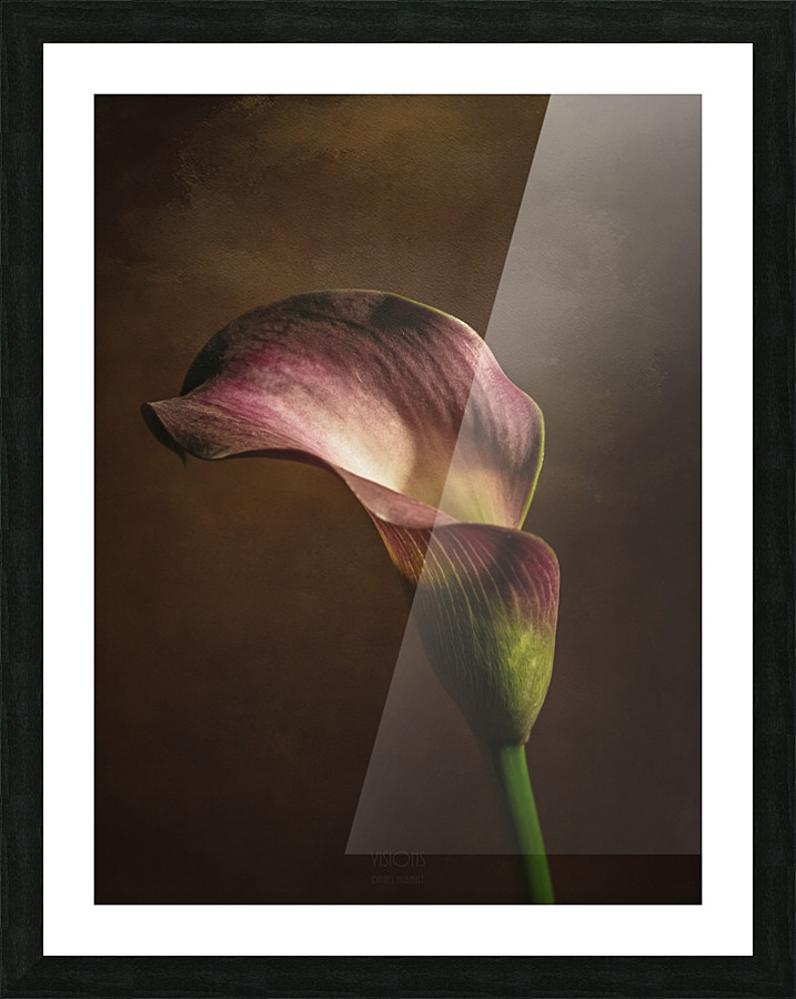 Etude Zen 8 e Picture Frame print