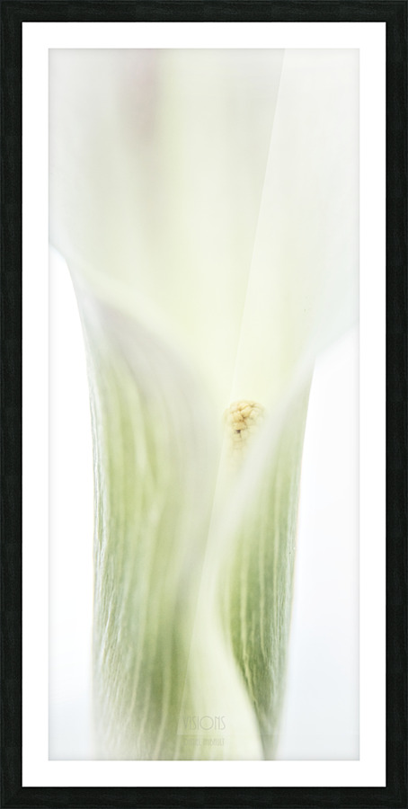 Aurore boreale 2 Picture Frame print