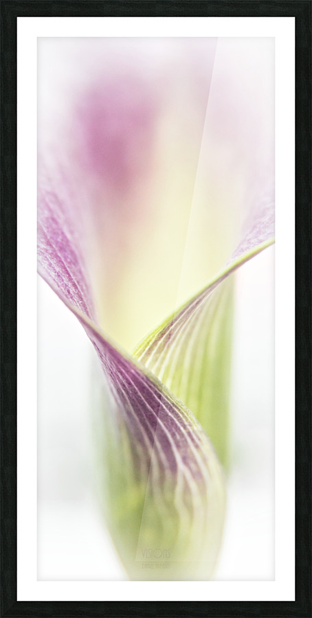 Aurore boreale 3 Picture Frame print