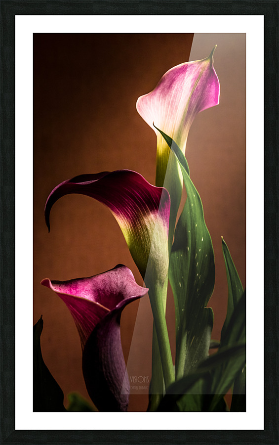 Les oubliees Picture Frame print