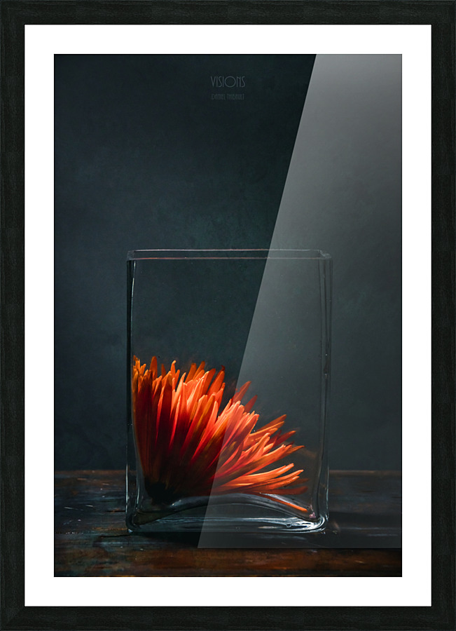 Etude Zen 13 a Picture Frame print