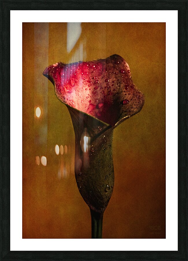 Le Calice Picture Frame print
