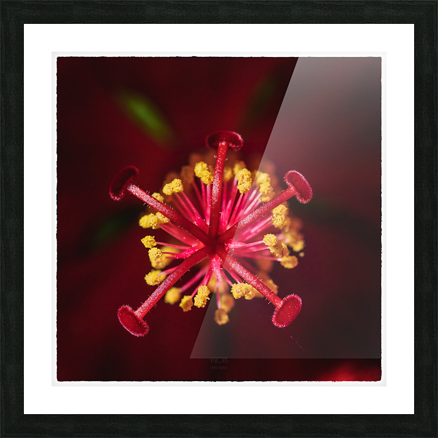 Red Mood 1 Picture Frame print