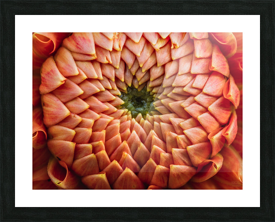 Orange Mood 1 Picture Frame print