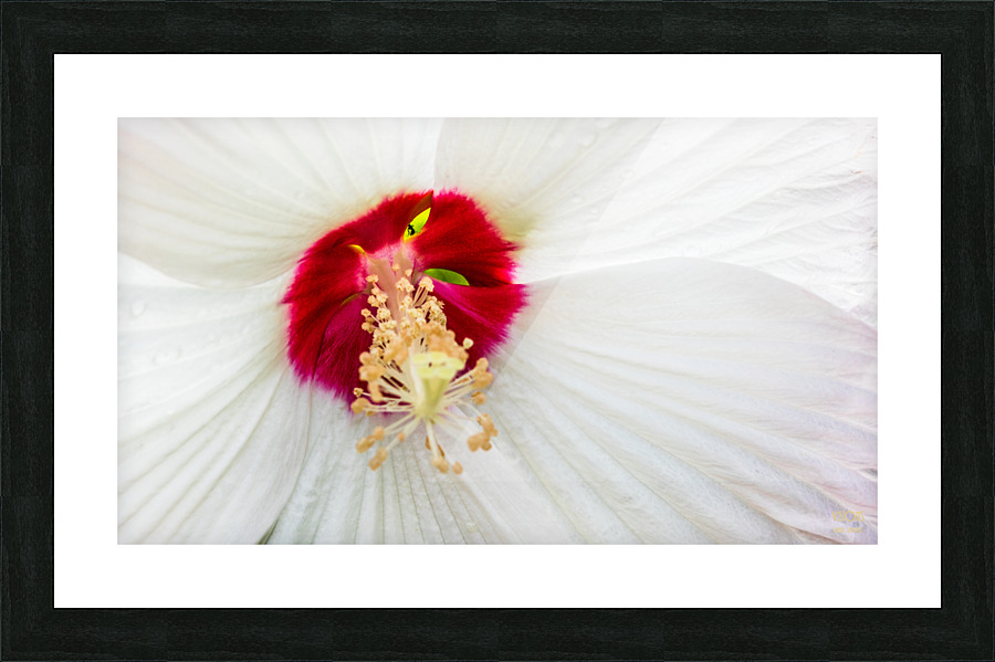 White Mood 1 Picture Frame print