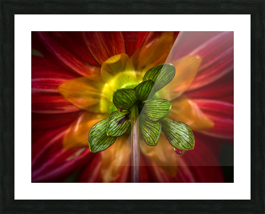 Arc en ciel Picture Frame print