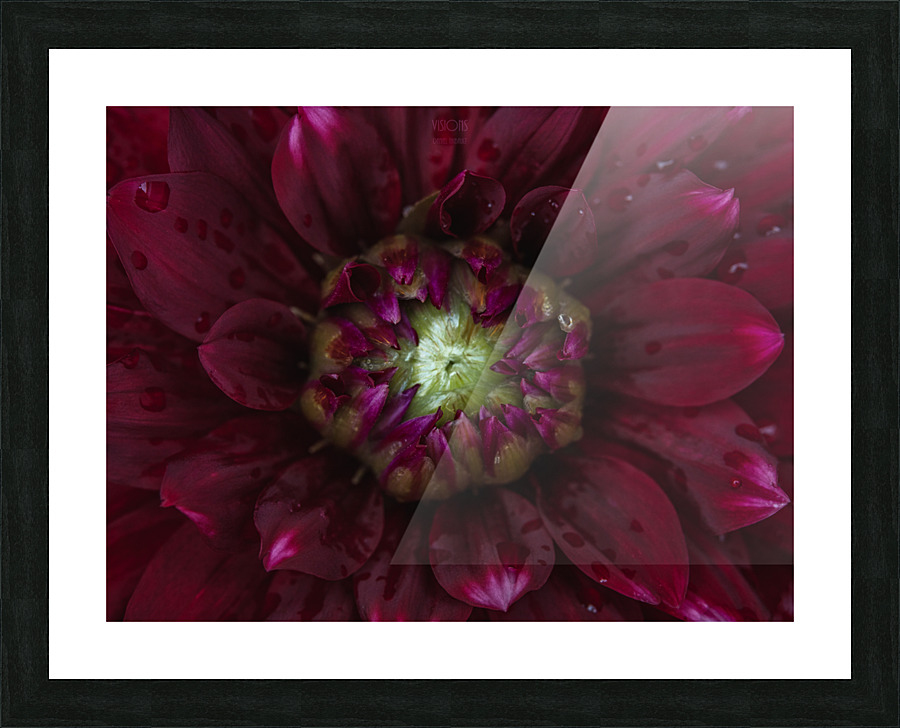 Red Mood 2 Picture Frame print