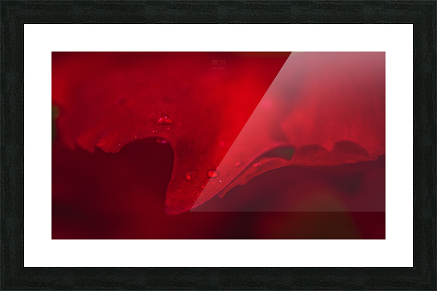 Red Mood 4 Picture Frame print