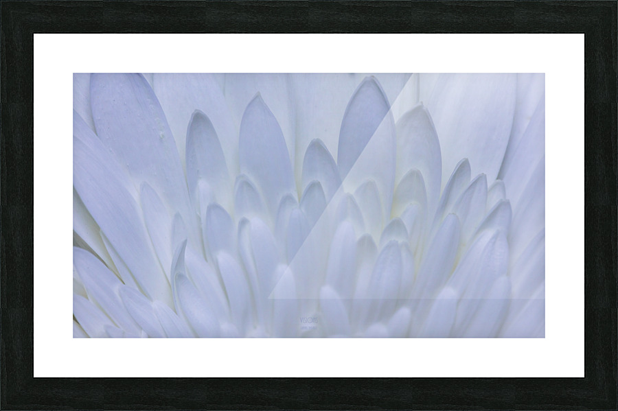 Blueish mood Picture Frame print