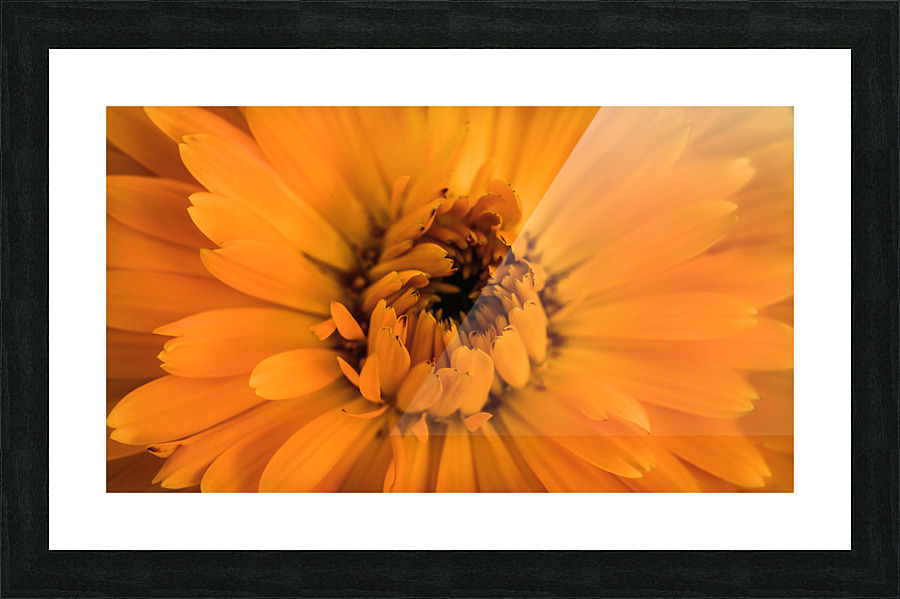 Yellow mood 1 Picture Frame print